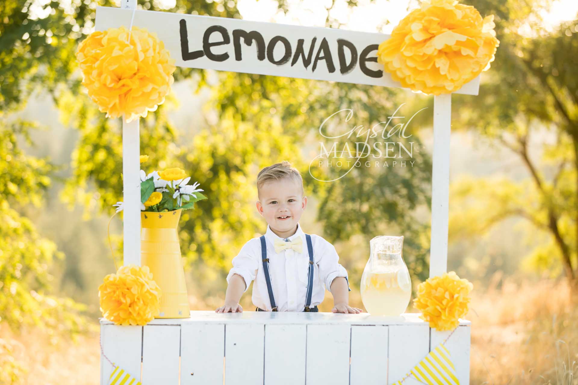 lemonade stand photo spokane