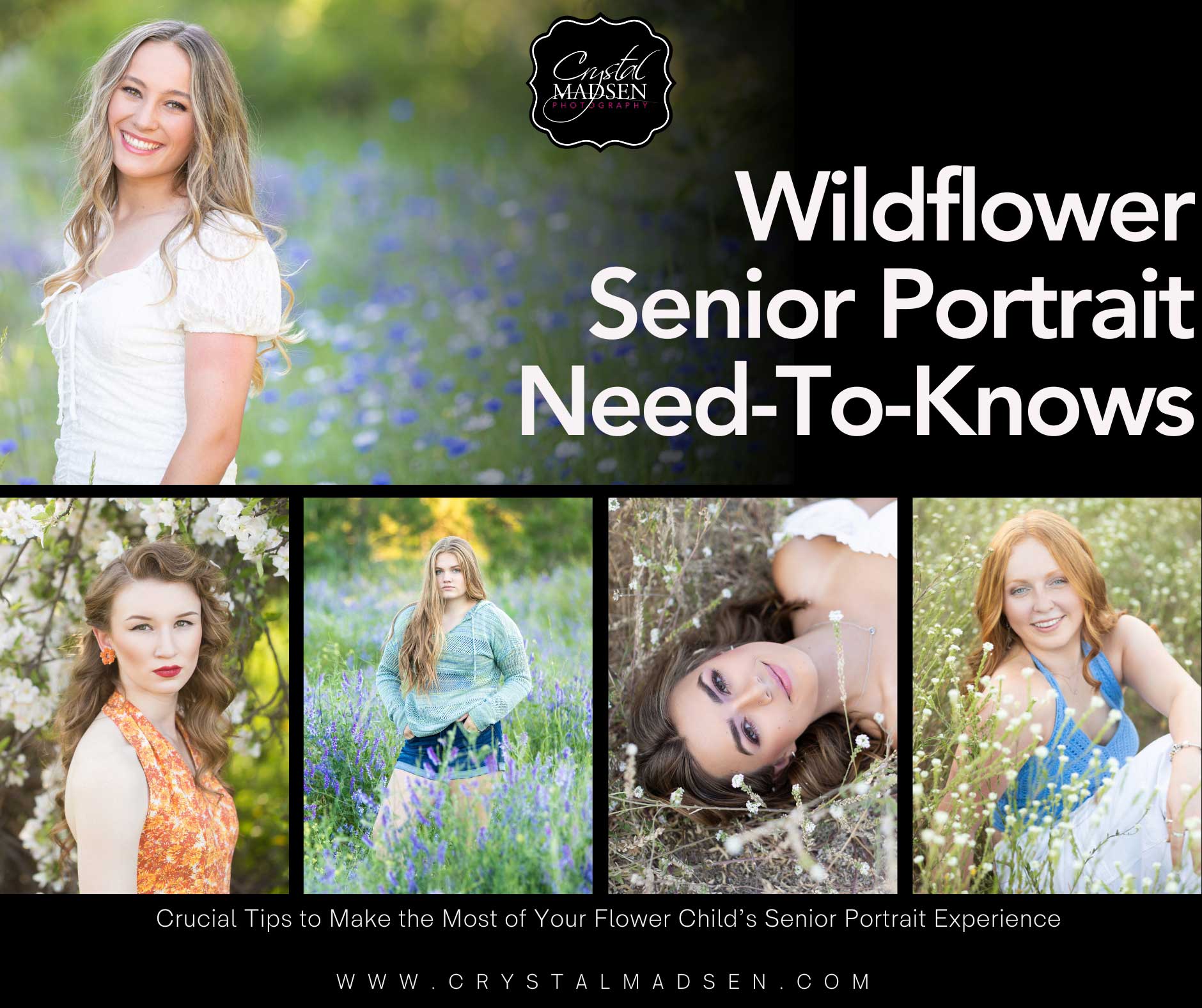 wild flower senior pictures